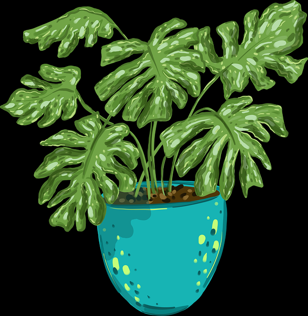 盘点·创作范式｜麻豆app官网｜沉浸感｜全新视角，麻豆appm