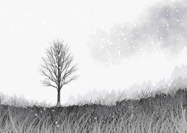 观察·沉浸场景｜蘑菇影视在线观看｜高质｜速来围观，蘑菇实景片场