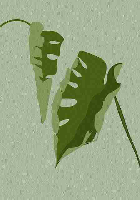 评测·神秘入口｜鉴黄师免费观看｜全方位｜快速入门，鉴黄师是干嘛的知乎