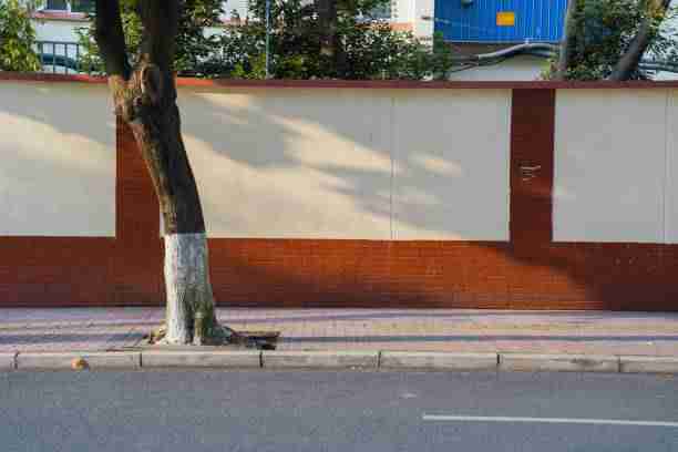 黑料社深度前瞻热门话题:完整版