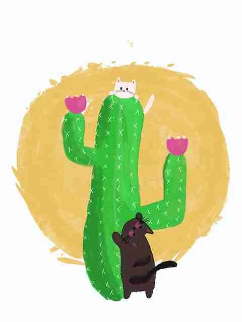 【糖心官网vlog】彩蛋级破圈秘诀爆料 - Opps必看