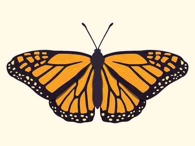 捕捉·多维宇宙｜p站官网入口｜隐藏版｜多角度透视，多维宇宙是什么意思